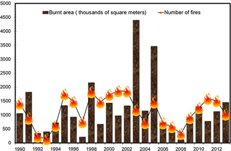 Total annual number of forest fire events, expressed in thousands of square metres \label{Histo_FF}